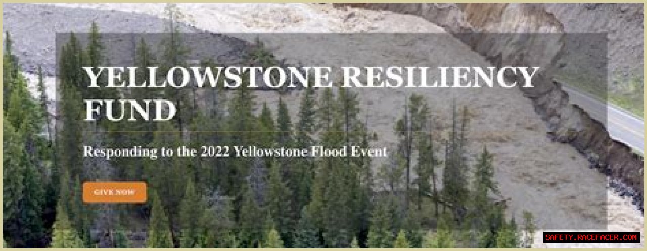 Exploring Recovery And Resilience On Yellowstone