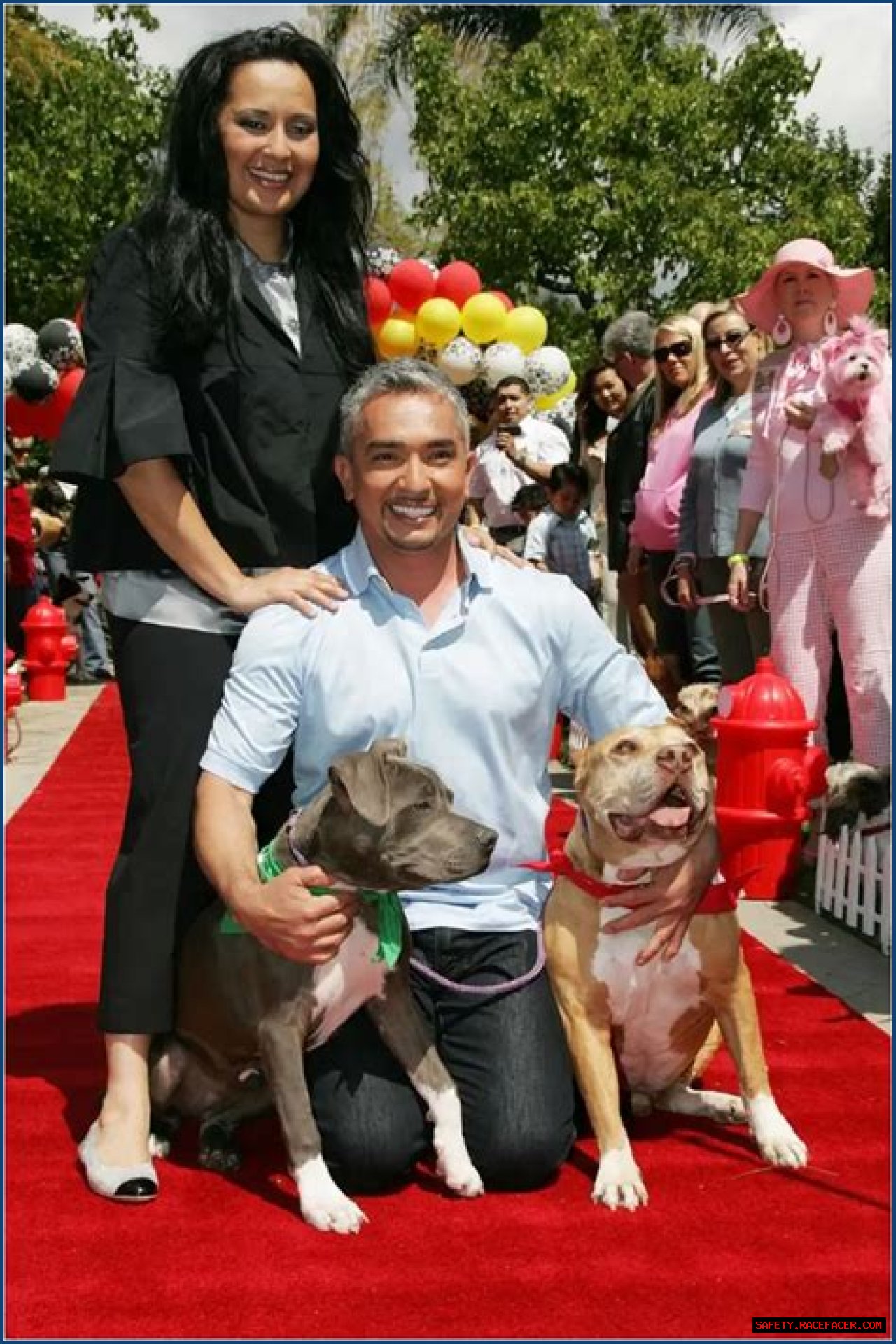 Unveiling The Secrets Of Cesar Millan's Net Worth